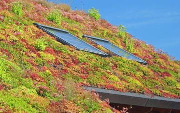 Haynes living roof systems