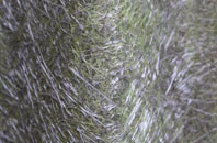 Haynes fibreglass roof work